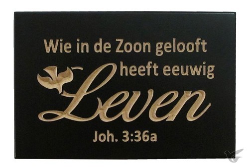 Productafbeelding: voorkant van Wandbord leven Joh. 3:36a 10x15