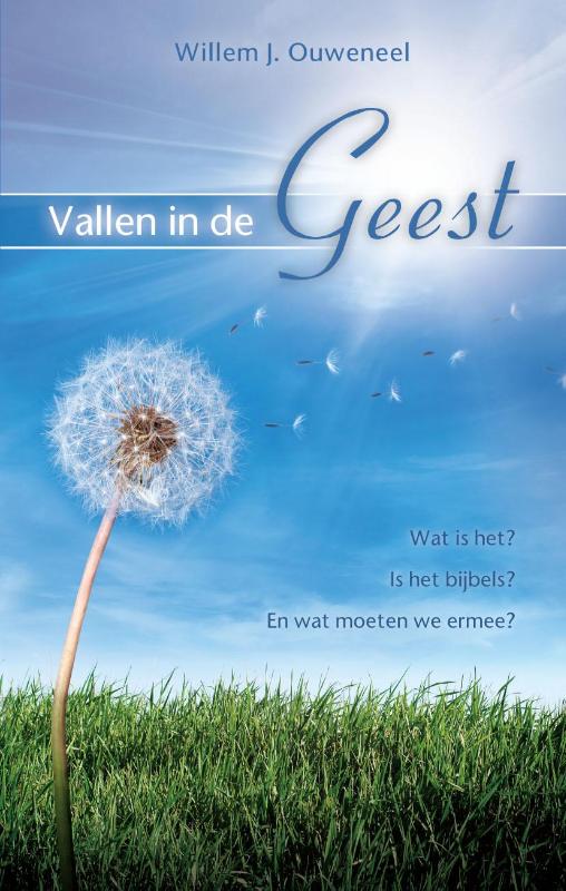 Productafbeelding: voorkant van Vallen in de Geest